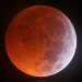 ...di uneclissi di Luna
